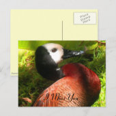 Believe_naal Briefkaart (Voorkant / Achterkant)
