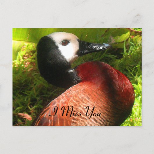 Believe_naal Briefkaart (Voorkant)