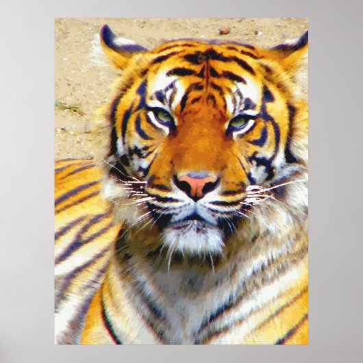 Believe_Poster Poster (Voorkant)