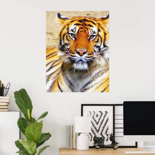 Believe_Poster Poster (Thuiskantoor)