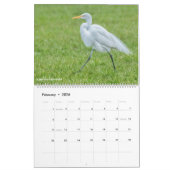 Belinda Greb-fotokalender Kalender (Feb 2026)