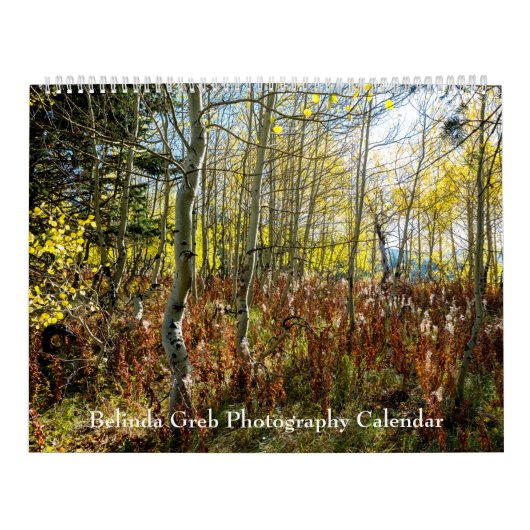 Belinda Greb-fotokalender Kalender (Hoes)