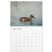 Belinda Greb-fotokalender Kalender (Jan 2027)