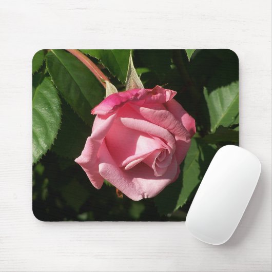Belinda's droomroze Rose Mousepad Muismat (Met muis)