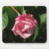 Belinda's droomroze Rose Mousepad Muismat (Voorkant)