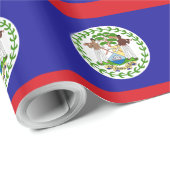 Belizaanse vlag cadeaupapier (Rol Hoek)