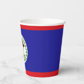 Belizaanse vlag papieren bekers (Achterkant)