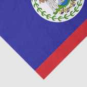 Belizaanse vlag tissuepapier (Detail)