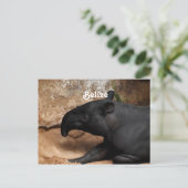 Belize Baird's Tapir Briefkaart (Staand voorkant)
