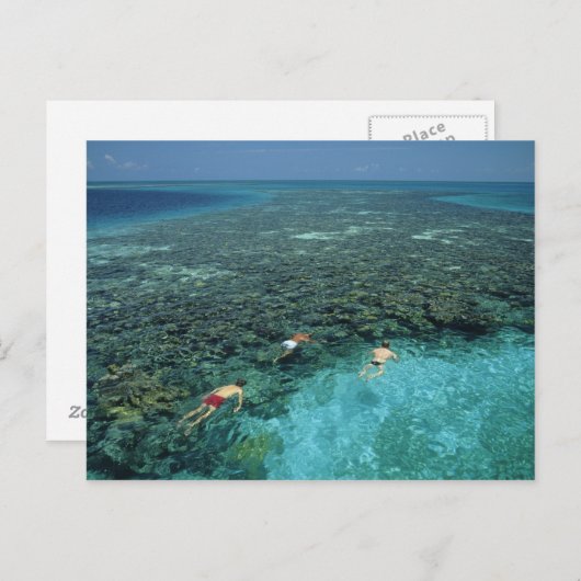 Belize, Barrier Reef, Lighthouse Reef, blauw Briefkaart (Voorkant / Achterkant)