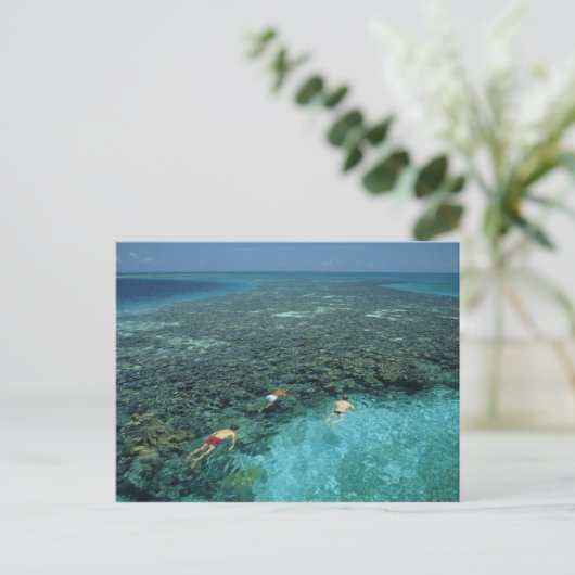 Belize, Barrier Reef, Lighthouse Reef, blauw Briefkaart (Staand voorkant)