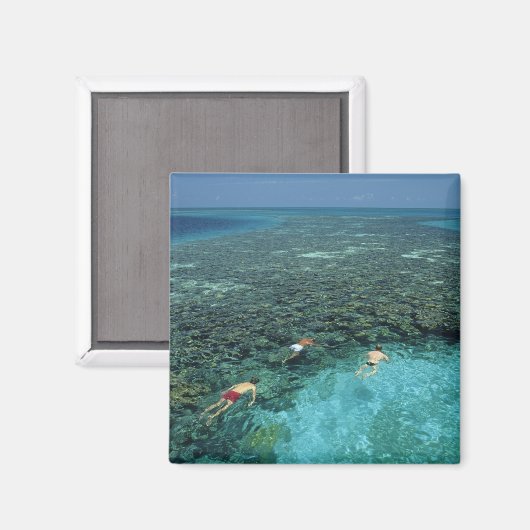 Belize, Barrier Reef, Lighthouse Reef, blauw Magneet (Voorkant / Achterkant)