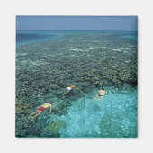 Belize, Barrier Reef, Lighthouse Reef, blauw Magneet (Voorkant)