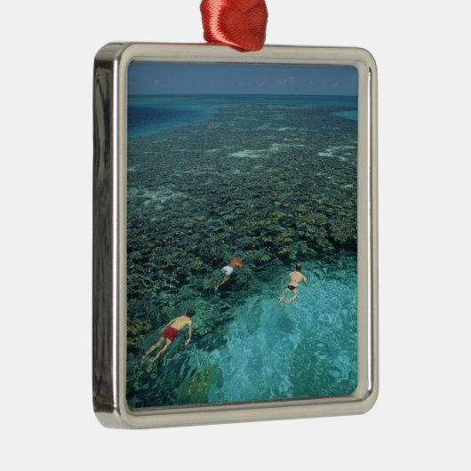 Belize, Barrier Reef, Lighthouse Reef, blauw Metalen Ornament (Rechts)