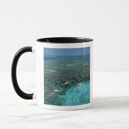 Belize, Barrier Reef, Lighthouse Reef, blauw Mok (Links)