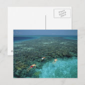 Belize, Barrièrerif, Lighthouse Reef, Blauw Briefkaart (Voorkant / Achterkant)