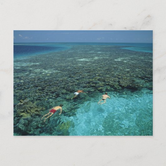 Belize, Barrièrerif, Lighthouse Reef, Blauw Briefkaart (Voorkant)