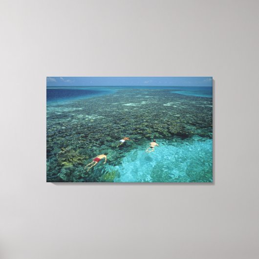 Belize, Barrièrerif, Lighthouse Reef, Blauw Canvas Afdruk (Voorkant)