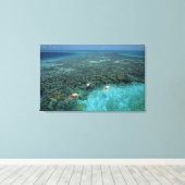 Belize, Barrièrerif, Lighthouse Reef, Blauw Canvas Afdruk (Insitu (Houten vloer))