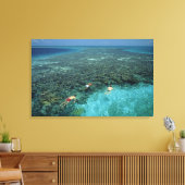 Belize, Barrièrerif, Lighthouse Reef, Blauw Canvas Afdruk (Insitu (Woonkamer))