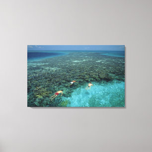 Belize, Barrièrerif, Lighthouse Reef, Blauw Canvas Afdruk