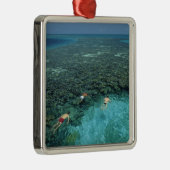 Belize, Barrièrerif, Lighthouse Reef, Blauw Metalen Ornament (Rechts)