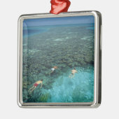 Belize, Barrièrerif, Lighthouse Reef, Blauw Metalen Ornament (Links)
