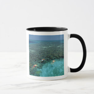 Belize, Barrièrerif, Lighthouse Reef, Blauw Mok