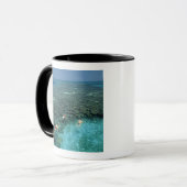Belize, Barrièrerif, Lighthouse Reef, Blauw Mok (Voorkant links)