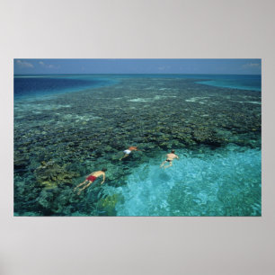 Belize, Barrièrerif, Lighthouse Reef, Blauw Poster