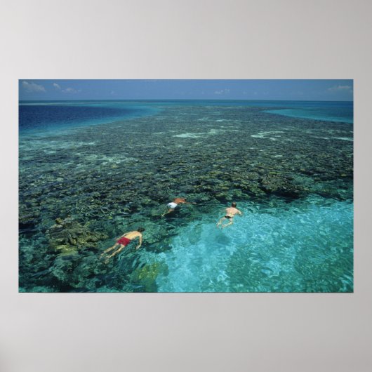Belize, Barrièrerif, Lighthouse Reef, Blauw Poster (Voorkant)