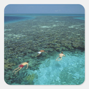 Belize, Barrièrerif, Lighthouse Reef, Blauw Vierkante Sticker