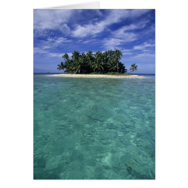Belize, Barrièrerif, Onbenoemd eiland of kaimaneil (Voorkant)