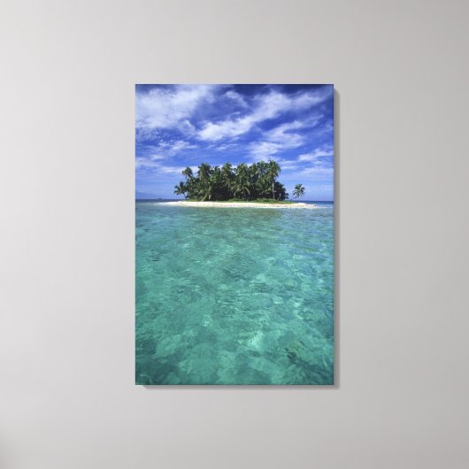Belize, Barrièrerif, Onbenoemd eiland of kaimaneil Canvas Afdruk (Voorkant)