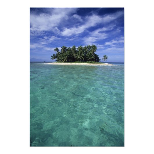 Belize, Barrièrerif, Onbenoemd eiland of kaimaneil Foto Afdruk (Voorkant)