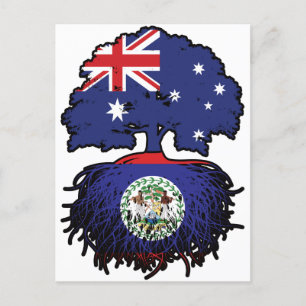 Belize Belizean Australian Australia Tree Roots Briefkaart