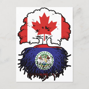Belize Belizean Canadian Canada Tree Roots Flag Briefkaart