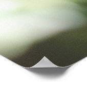 Belize Bird, Green Olive Backed Euphonia Poster (Hoek)