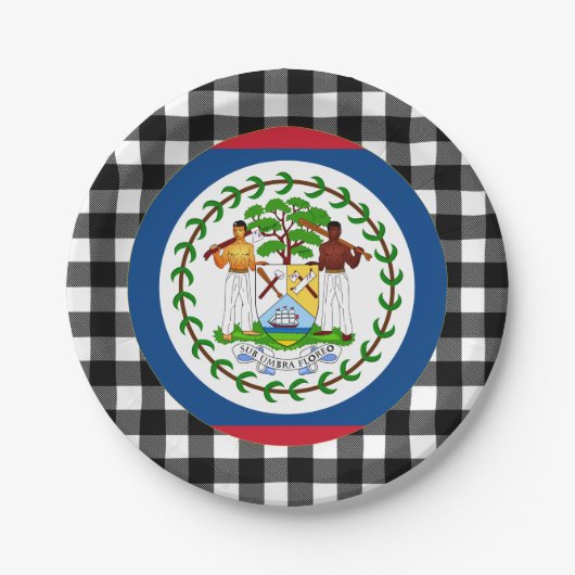 Belize Bord, buffelvlecht en Belize vlag Papieren Bordje (Voorkant)