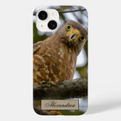 Belize Brown Roadside Hawk Bird Photography Case-Mate iPhone Case (Achterkant)
