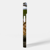 Belize Brown Roadside Hawk Bird Photography Case-Mate iPhone Case (Achterkant / Rechts)