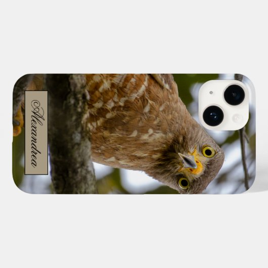 Belize Brown Roadside Hawk Bird Photography Case-Mate iPhone Case (Achterkant (horizontaal))