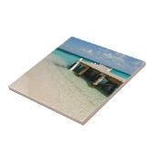 Belize, Caraïbisch Zee, Goff Caye. Een klein eilan Tegeltje (Zijkant)