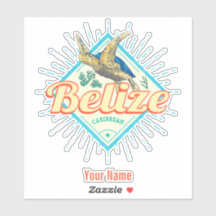 Belize Caribbean Retro Turtle  Souvenir