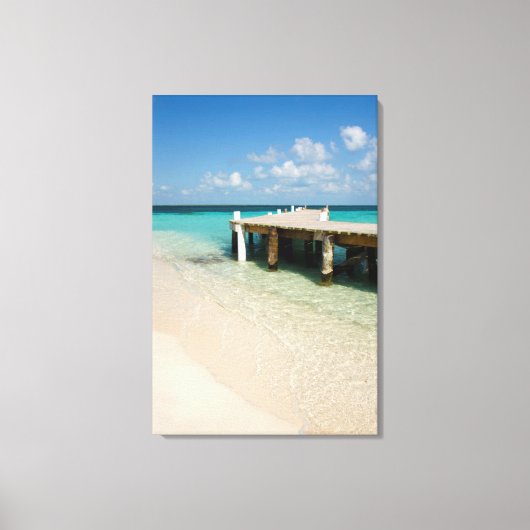 Belize, Caribisch Zee, Goff Caye. Een klein eiland Canvas Afdruk (Voorkant)
