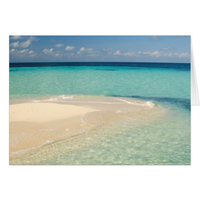 Belize, Caribische Zee. Goff Caye, Een Klein Eilan (Voorkant Horizontaal)
