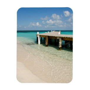Belize, Caribische Zee, Goff Caye. Een Klein Eilan Magneet
