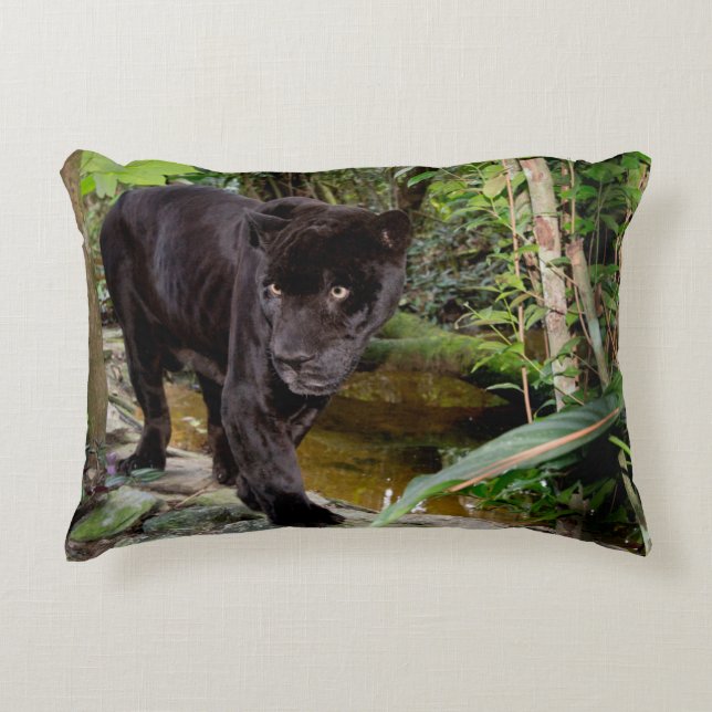 Belize City Zoo. Zwarte panter Decoratief Kussen (Voorkant)