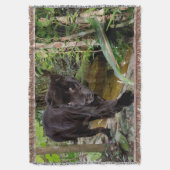 Belize City Zoo. Zwarte panter Deken (Voorkant Verticaal)