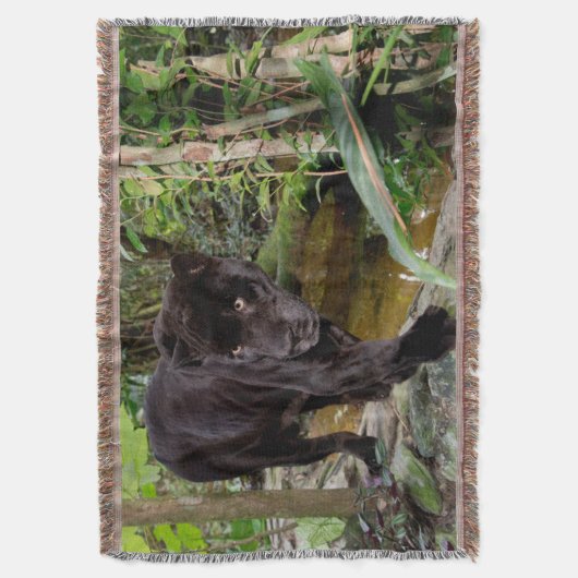 Belize City Zoo. Zwarte panter Deken (Voorkant Verticaal)